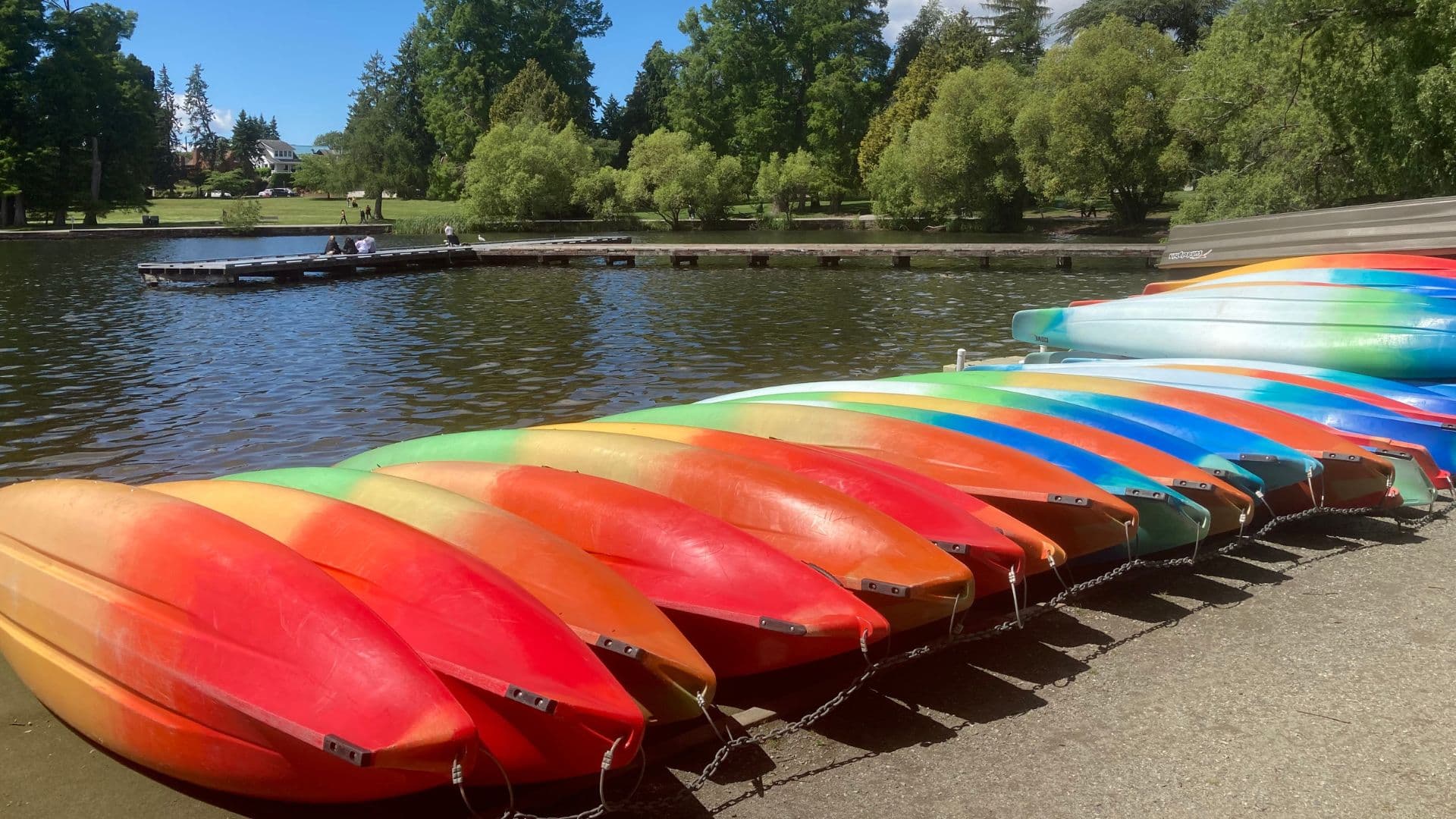 A row of colorful kayaks docked along a sunny lakeshore with trees in the background.
