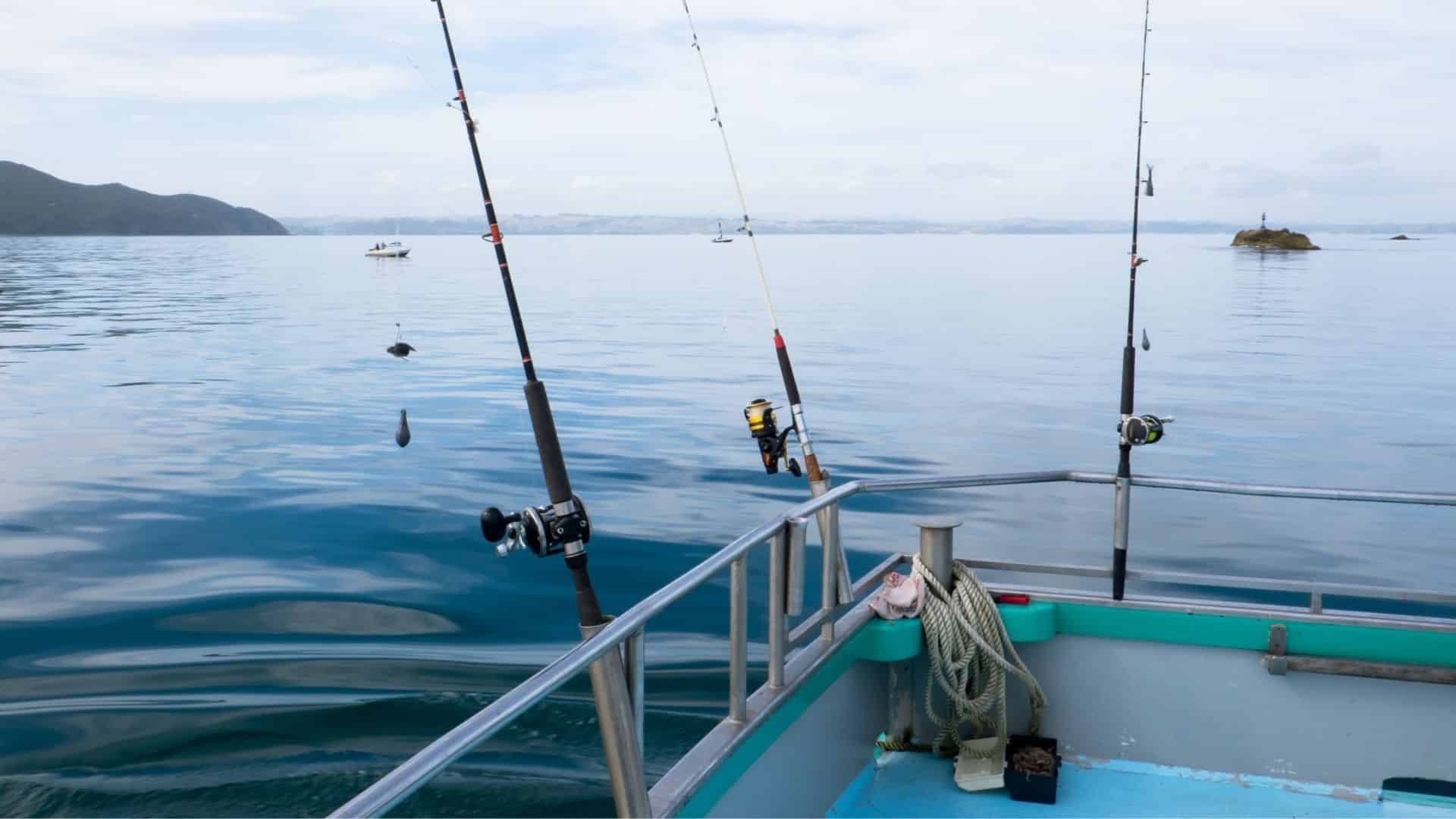 rods lined up on a fishing charter boat