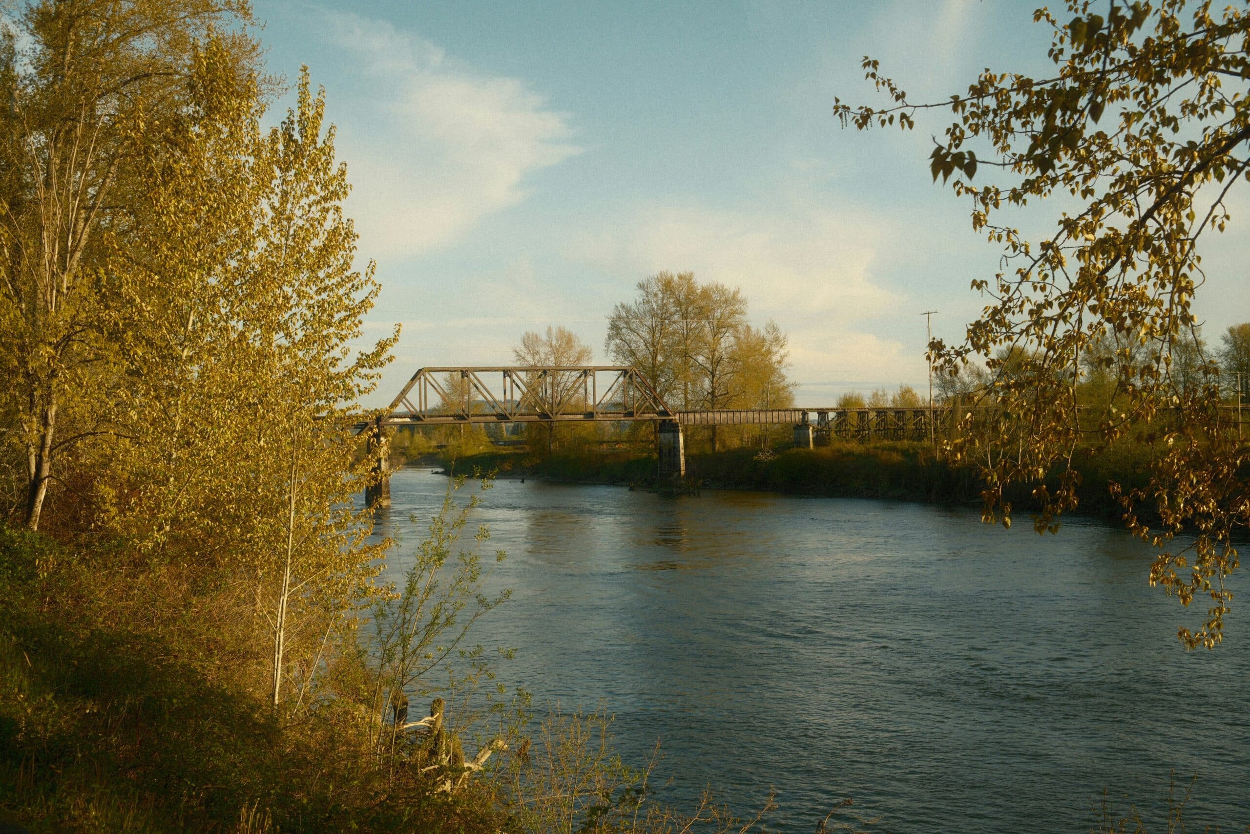 River in foreground with a bridge and trees with fall color